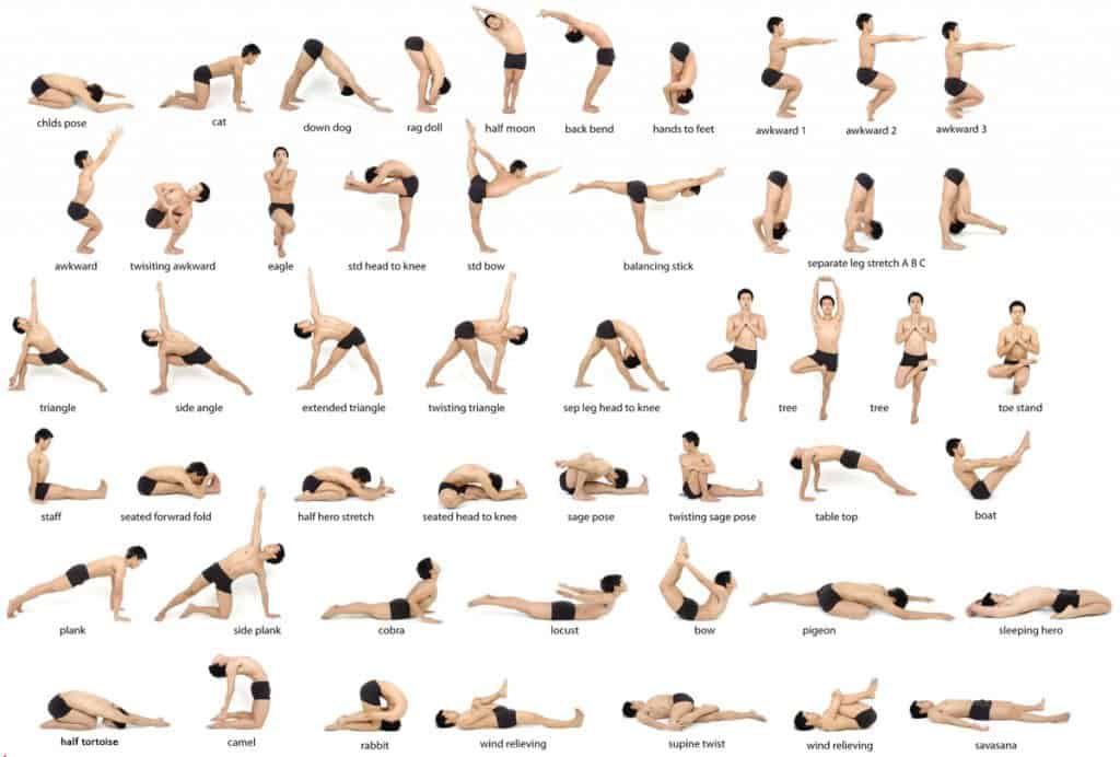 The Best 8 Yoga Poses For Beginners
