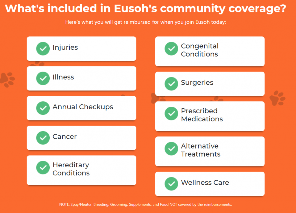 Nationwide Pet Insurance Eusoh reviews Embrace Pet Insurance pet insurance cost How does pet insurance work? pet insurance pre existing conditions Pet insurance comparison wellonhealth.com